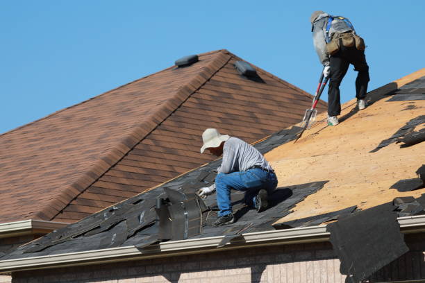 Best Roof Insulation Installation  in Chenoa, IL